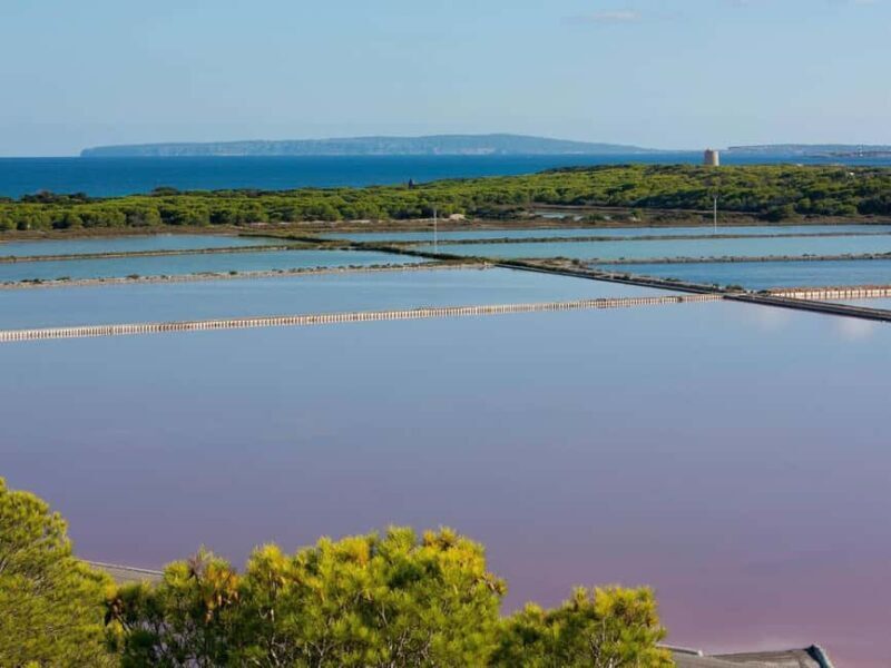 Ibiza: Salt Beds, Es Vedra & Time and Space Half-Day Tour - The Practical Side: Price, Timing, and Group