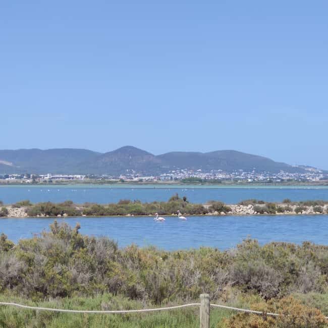 Ibiza: Salt Beds, Es Vedra & Time and Space Half-Day Tour - Who Should Consider This Tour?