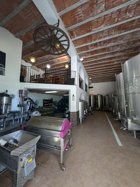 Ibiza: Winery Tour + Tasting Experience with Pickup/Dropoff - An Honest Look at the Ibiza Winery Tour