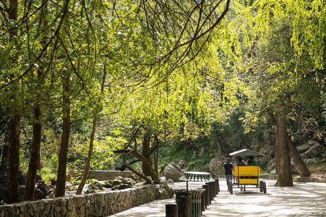 IBO Roller Zip in Cola de Caballo - Safety & Service: What We’ve Heard From Reviewers