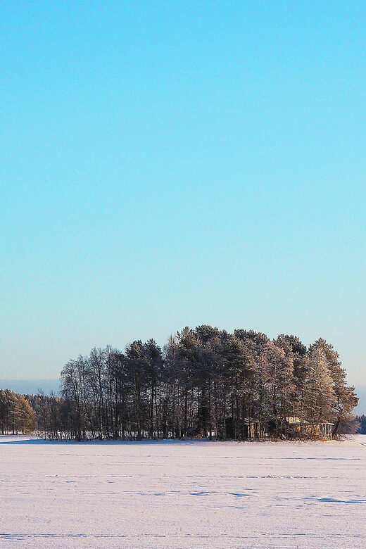 Ice fishing program in Lapland - What the Reviews Say