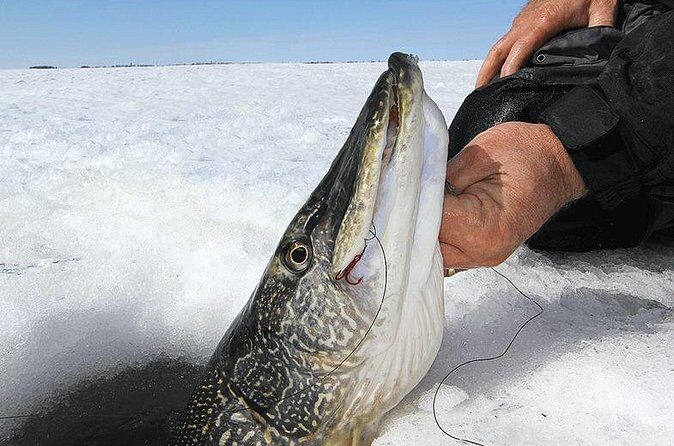 Ice Fishing Tour from Fairbanks - Weather and Safety Considerations