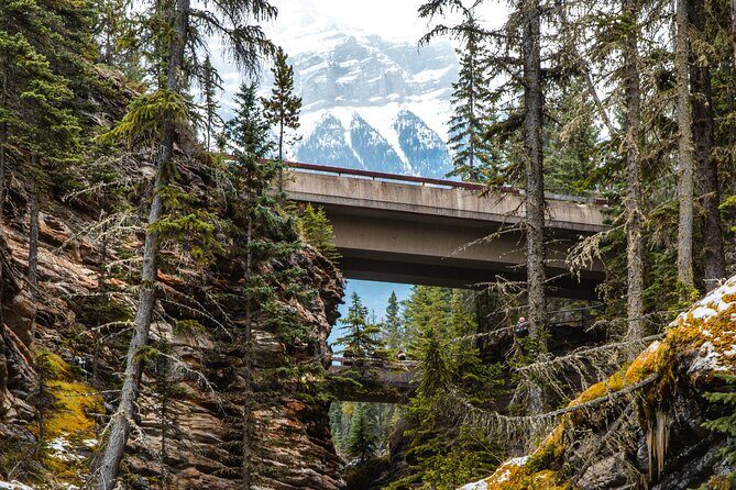 Icefields Parkway: a Smartphone Audio Driving Tour - What Do Travelers Think?