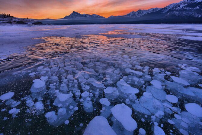 Icefields Parkway & Ice Bubbles of Abraham Lake Adventure - Who Will Love This Tour?