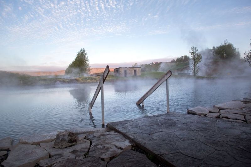 Iceland Secret Lagoon Admission Ticket - Food and drinks: café time, fish and chips, and yes, wine