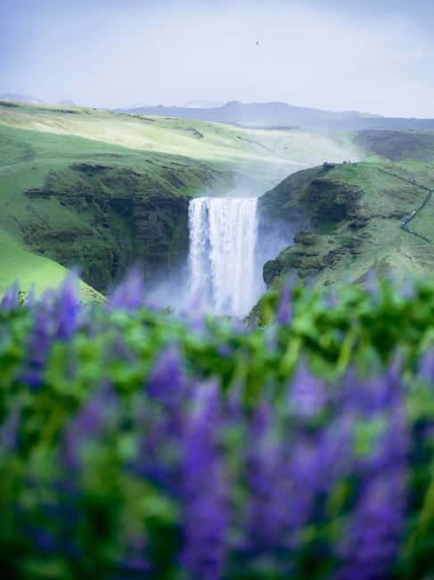 Iceland South Coast: Private Photography and Guided Day Tour - Cost and Value