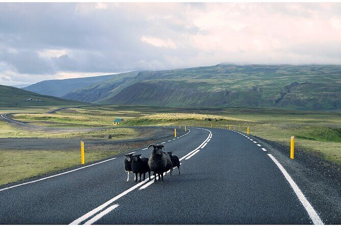 Iceland South Coast Tour with Pickup - Final Thoughts