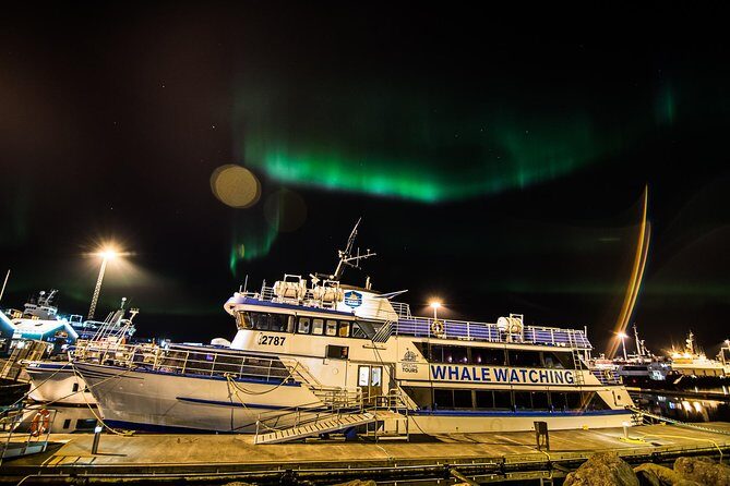 Iceland Super Saver: Northern Lights Cruise plus Whale-Watching Tour from Reykjavik - Final Thoughts