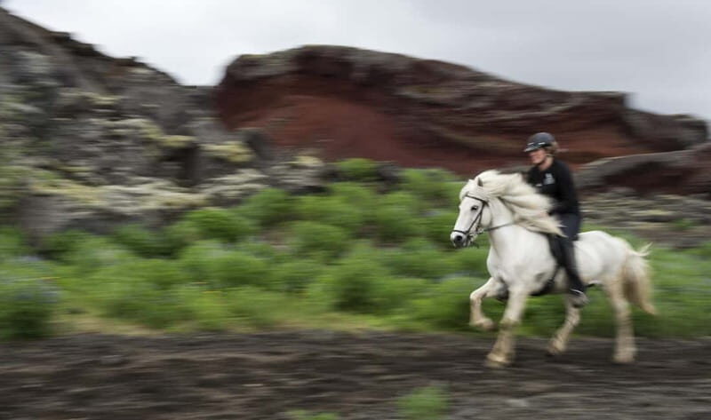 Iceland: Volcanic Landscape Horse Riding Tour - Practical Details and Logistics