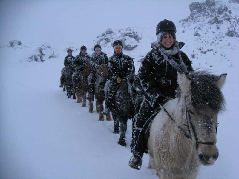 Iceland: Volcanic Landscape Horse Riding Tour - Who Will Love This Tour?