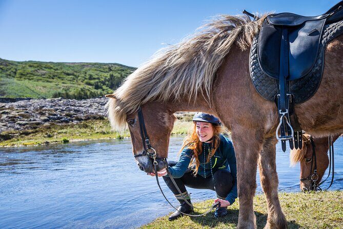 Icelandic Horse Riding and Whale Watching Tour from Reykjavik - Key Points