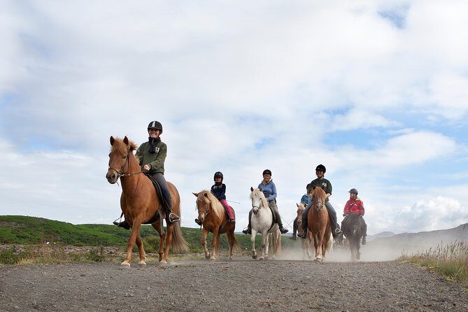 Icelandic Horseback Riding Tour from Reykjavik - What to Expect on the Tour