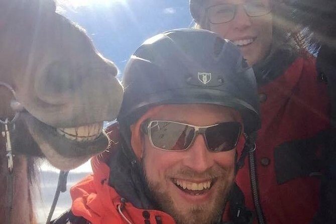 Icelandic Horseback Riding Tour Including Pick Up from Reykjavik - The Sum Up