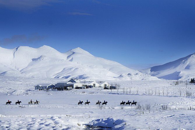Icelandic Horseback Riding Tour Including Pick Up from Reykjavik - FAQ
