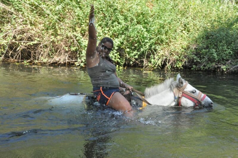 Icmeler Horse Riding Through The Rivers and Forest - What Reviewers Say