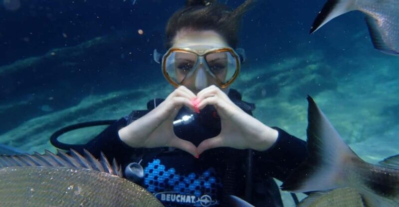 Icmeler: Scuba Diving with a Qualified Instructor - Who is this tour best suited for?