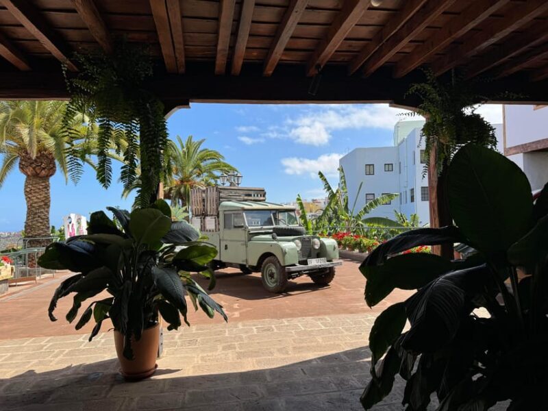 Icod de los Vinos: Casa del Plátano Entry Ticket - The Cost-Effectiveness of Casa del Plátano