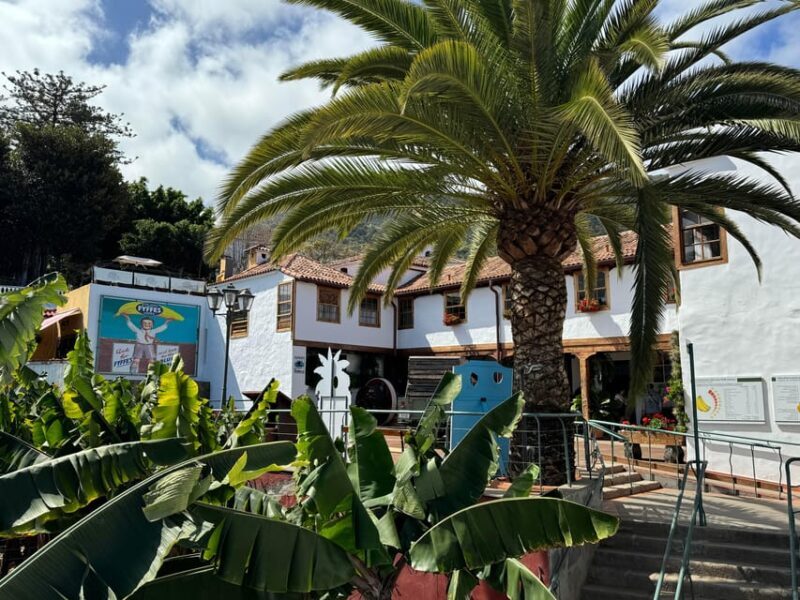 Icod de los Vinos: Casa del Plátano Entry Ticket - FAQ