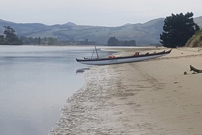 Iconic Dunedin Coastal Tour by Minibus with Maori Cultural Walk - Who Should Consider This Tour?