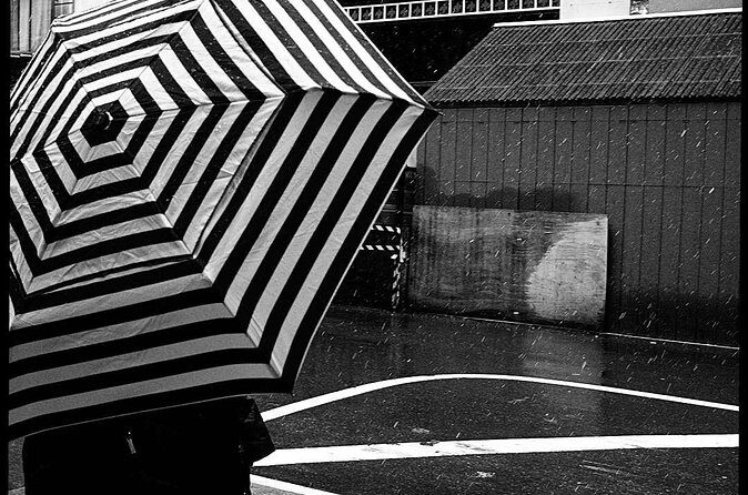 Iconic New York City Photography Tour - The Experience from Other Travelers’ Perspectives