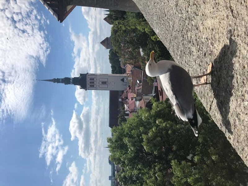 Iconic Old town Tallinn - Why Choose the Iconic Old Town Tallinn Tour?