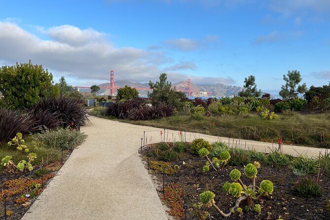 Iconic San Francisco Urban Hiking Tour - The Experience in Detail