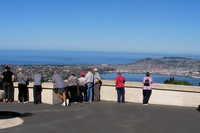 Iconic Shore Excursion: Dunedin City Highlights Tour - Value for Money