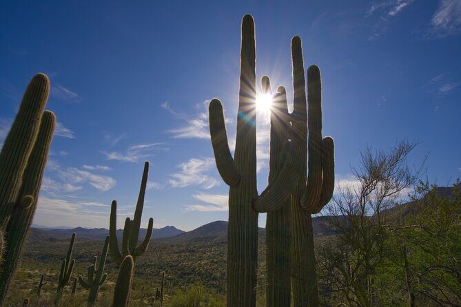 Iconic Tom's Thumb Guided Hiking Adventure in Scottsdale, Arizona - FAQs