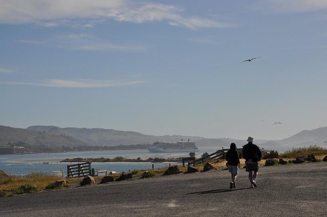 Iconic Wildlife Tour with Yellow Eyed Penguins & Royal Albatross - FAQs