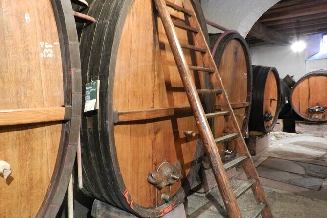 ICONICS Tour: 1/2 day on the Wine Route, visit of 2 Villages + Tasting. - Is This Tour Right for You?