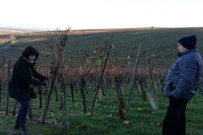 ICONICS Tour: 1/2 day on the Wine Route, visit of 2 Villages + Tasting. - Practical Details and Tips