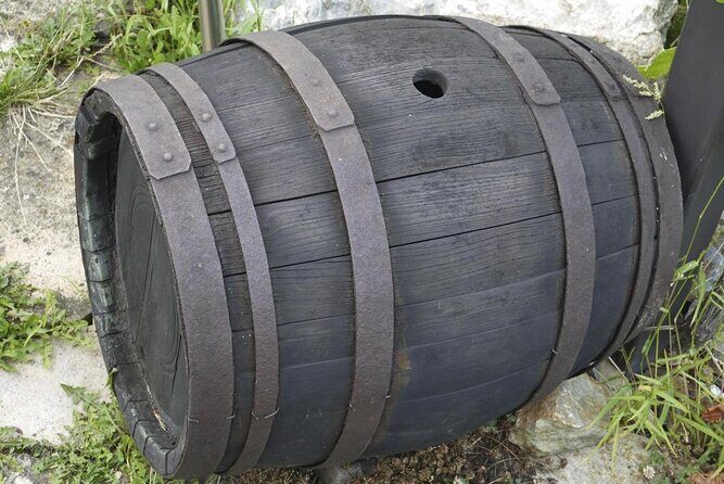 Idiazabal Cheese Farm and Basque Cider House Lunch from San Sebastian - Key Points