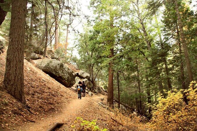 Idyllwild Day Tour - Key Points