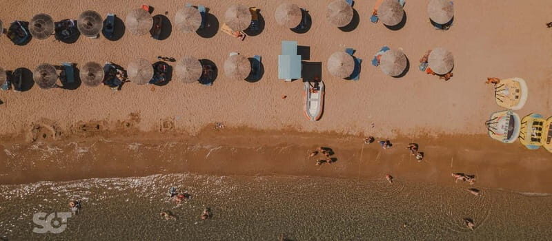 Ierapetra-Makrigialos: Vai Palm Beach, Moni Toplou & Sitia - An In-Depth Look at the Tour Experience