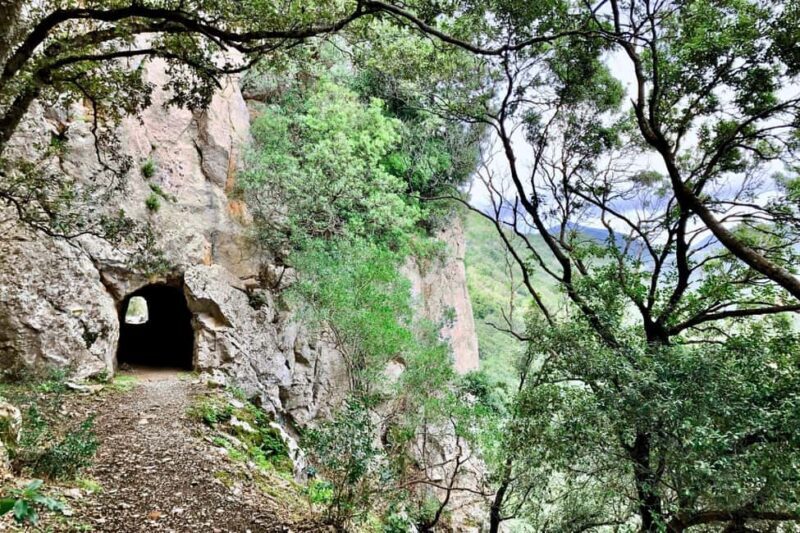 Iglesias: trekking in the Marganai Forest in Domusnovas - Key Points