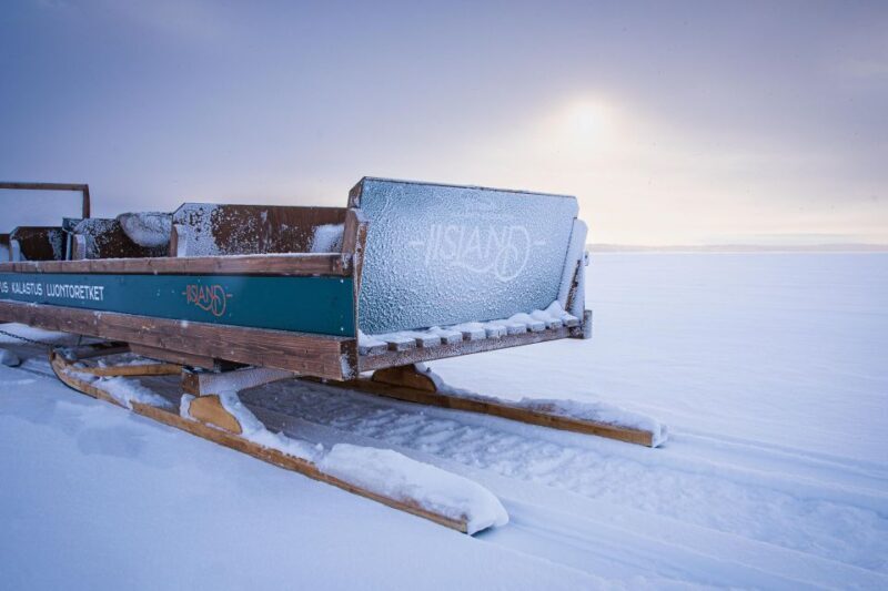 Ii: Snowmobile sleigh trip on frozen sea under starlit sky - An In-Depth Look at the Snowmobile Sleigh Trip