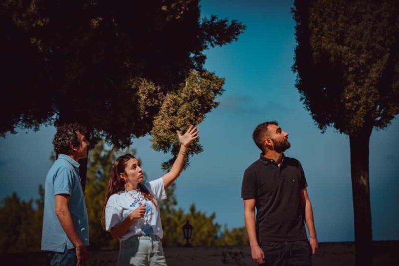 Ikaria Hike: Alama Spring - The Trail to Droutsoulas and Beyond