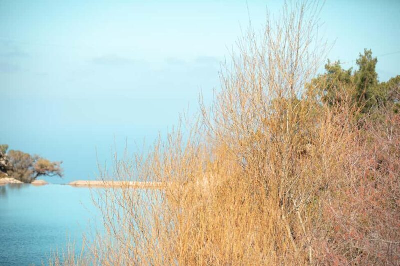 Ikaria Longevity: Forest Pilates, Monastery & Family Winery - Considerations Before Booking