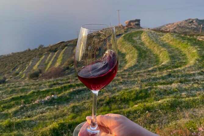 Ikaria, Two Family-run Wineries in a single Day with Pick-Up - Who Will Love This Tour?