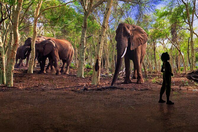 Illuminarium Las Vegas - What Are Visitors Saying?