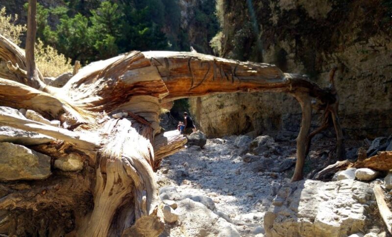 Imbros Gorge Hike From Rethymno - Who Is This Tour Best Suited For?