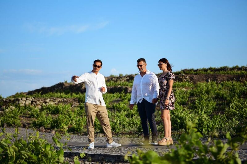 Imerovigli: Premium Wine Tasting with Caldera and Sea Views - Pricing and Value