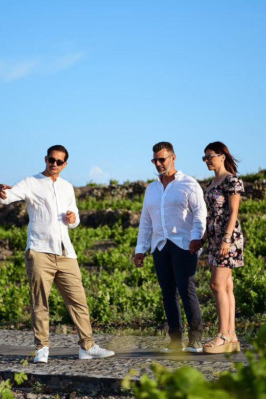Imerovigli: Premium Wine Tasting with Caldera and Sea Views - FAQ