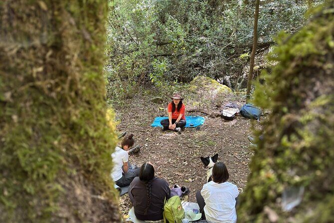 Immerse in the Nature: Deep Connection through Forest Bathing - An Honest Look at the Forest Bathing Experience