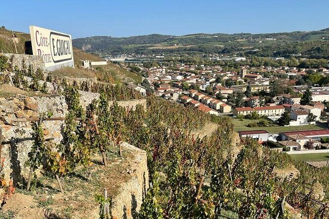 Immersion Domaine E.GUIGAL Visit wine cellars and tasting - Starting Point: Lyon to Ampuis