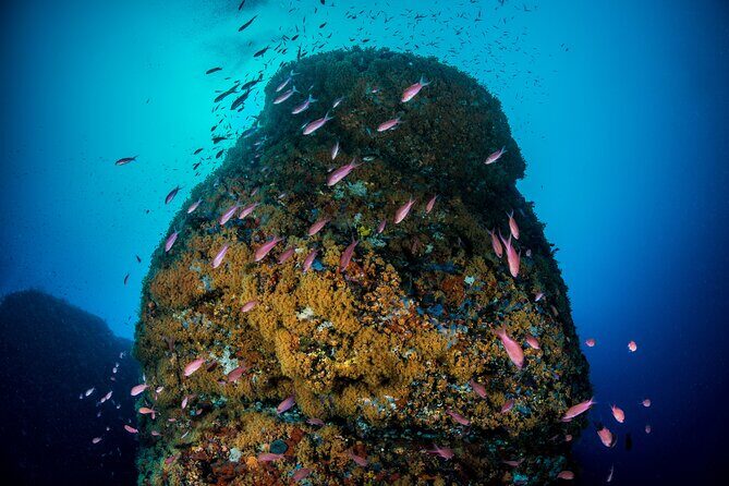 Immersion in Banco Santa Croce from Sorrento with Expert Guide - Why You Might Want to Book This Tour