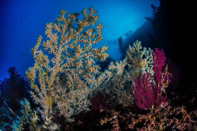 Immersion in Banco Santa Croce from Sorrento with Expert Guide - What the Tour Includes and What It Doesn’t