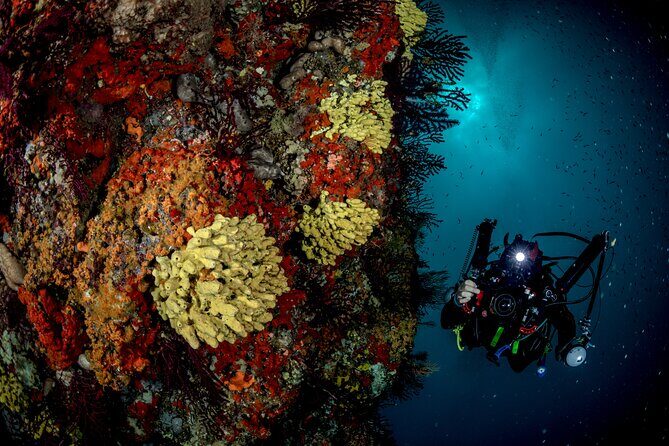 Immersion in Banco Santa Croce from Sorrento with Expert Guide - Who Is This Tour Best For?