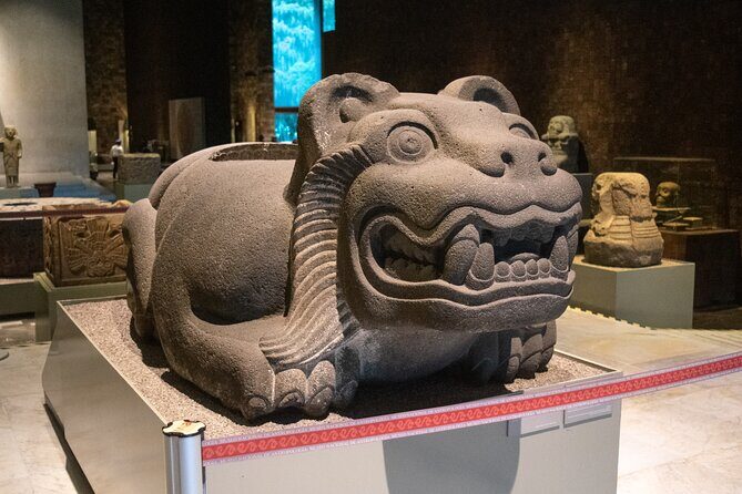 Immersive Experience at the Anthropology Museum - Final Recommendation