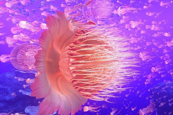 Immersive Virtual Reality Arcade Experience for 1 Hour (Includes Training) - FAQs